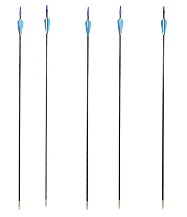 Leosportz Professional Archery Bow and Arrow Set