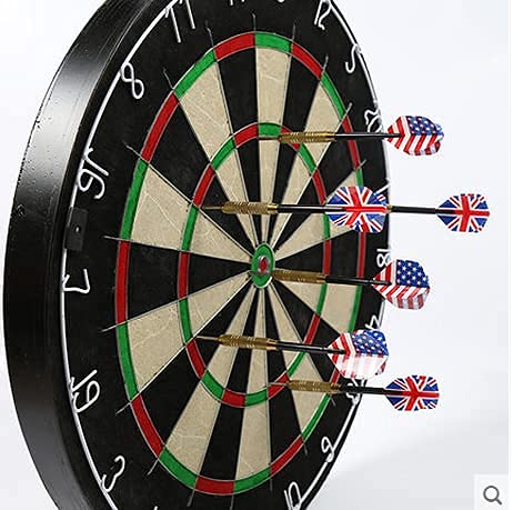 Leosportz Darts for Adult - Professional Darts