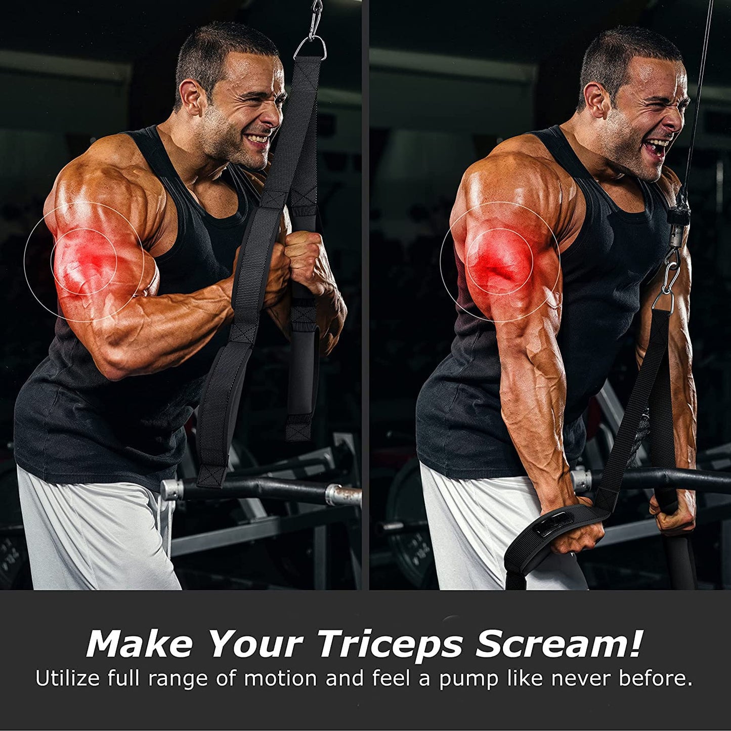 Leosportz Triceps Rope Cable Attachment