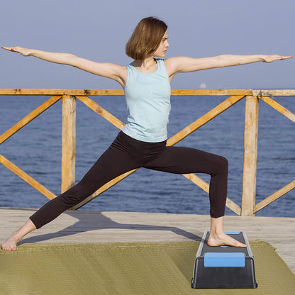Leosportz Stepper Aerobic Step Platform