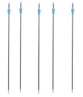 Leosportz Professional Archery Bow and Arrow Set