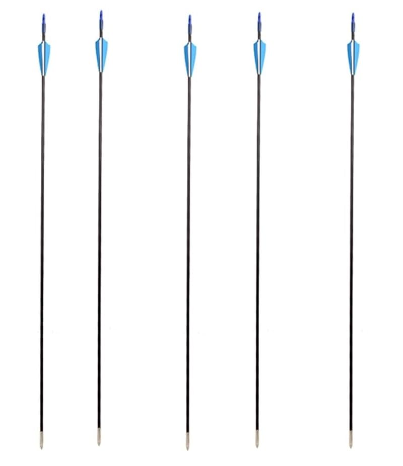 Leosportz Professional Archery Bow and Arrow Set