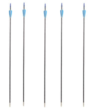 Leosportz Professional Archery Bow and Arrow Set