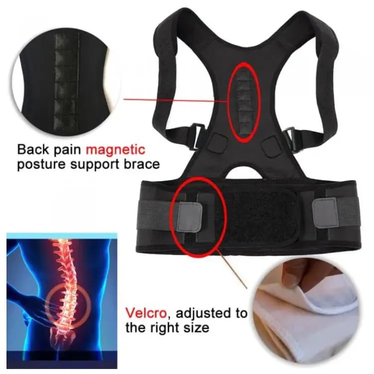 Leosportz posture corrector belt for Men