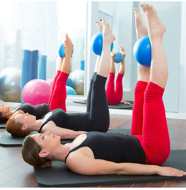 Leosportz 25cm Mini Aerobic Pilates Ball