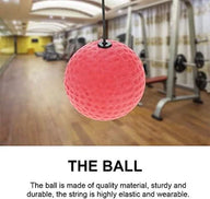 Leosportz Mma Boxing Reflex Ball
