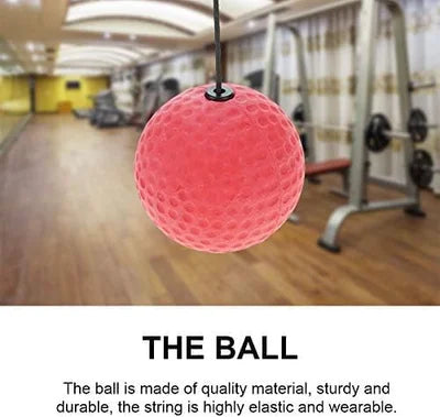 Leosportz Mma Boxing Reflex Ball